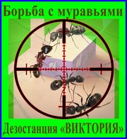 Дезостанция«ВИКТОРИЯ»,  уничтожение  муравьёв в Алматы и области.