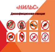  Уничтожение тараканов в Алматы и Алматинской области