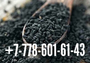Продаем семена черного тмина,  семена льна,  тел. +77786016143